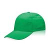 Flinn verde