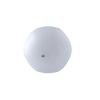 Beball trans