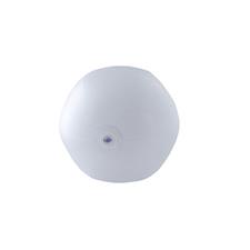 Beball trans